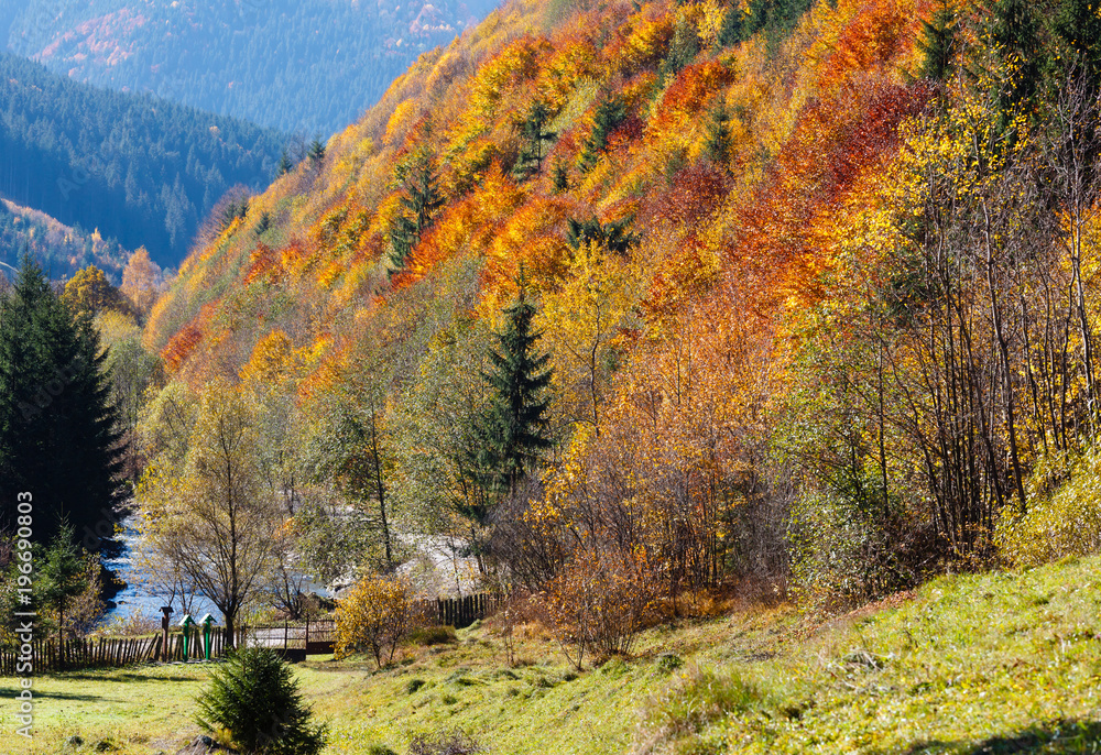 Autumn Carpathian mountain (Ukraine).