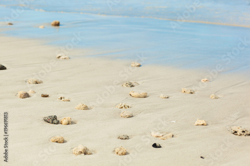 Seashells ion the beach. Varadero, Cuba