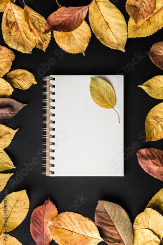 spiral notebook on black background with autumn leaves  spiral on a table