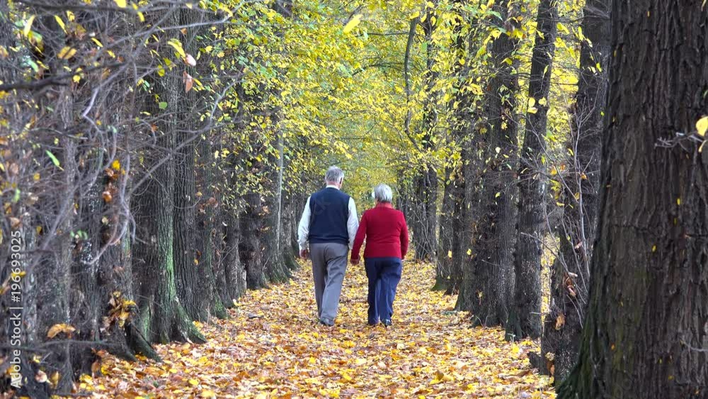 Old happy couple hand in hand on autumn alley, ever lasting love, romantic Old happy couple hand in hand on autumn alley, ever lasting love, romantic