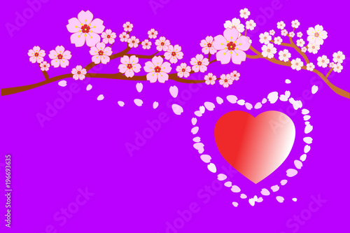 Full bloom cherry blossoms and petals blowing/flying around red heart shape, purple background. Beautiful pink Sakura flowers on brown branches with copy-space for add text. Vector illustration, EPS10
