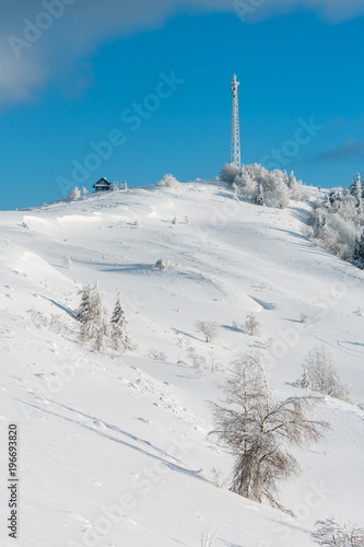 Winter hoar frosting trees,  tower and snowdrifts (Carpathian mountain, Ukraine) © wildman