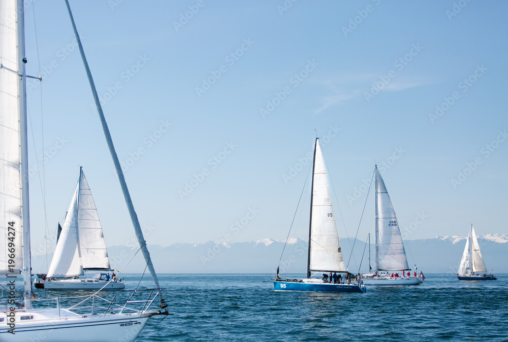 Sailboat in an international yacht race on open water Sailboat in an international yacht race on open water