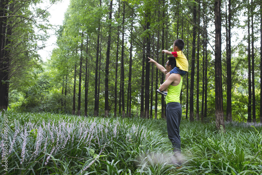 little asian boy in the woods on his father's shouder little asian boy in the woods on his father's shouder