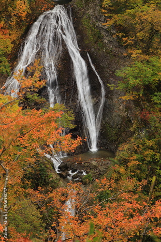 秋の七ツ滝 Nanatsutaki in autumn / Tsuruoka, Yamagata, Japan 