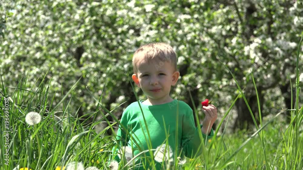 Happy child eating healthy natural food in blossom garden, invite yo to eat Happy child eating healthy natural food in blossom garden, invite yo to eat