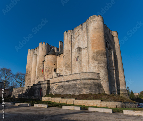 Donjon de Niort II photo