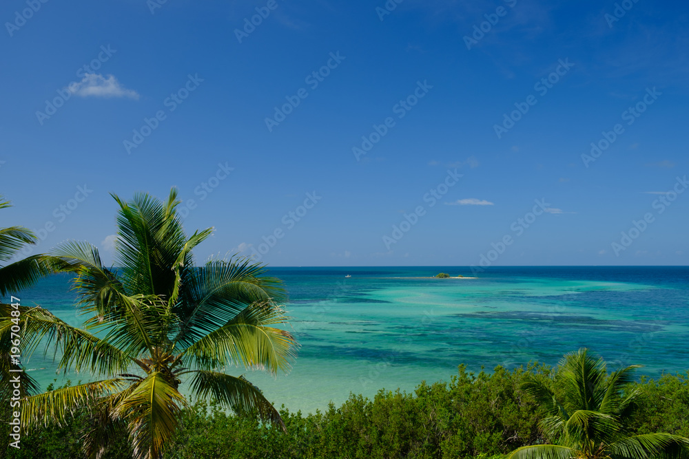 Coconut trees and the beautiful clear waters of the Florida Keys in Bahia Honda