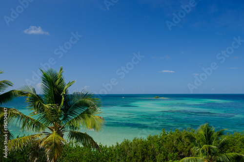 Coconut trees and the beautiful clear waters of the Florida Keys in Bahia Honda