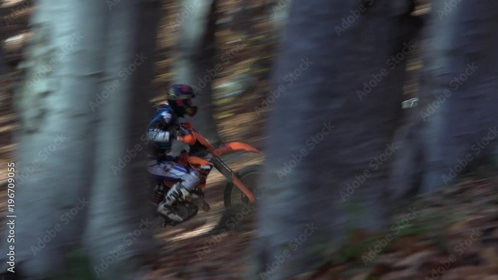 Motorcyclists going in autumn forest on wild difficult road
