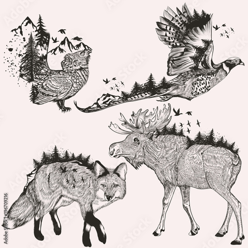 Artistic collection of hand drawn animals