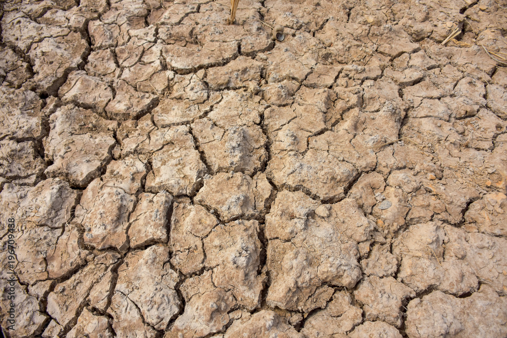 Broken ground image, drought.