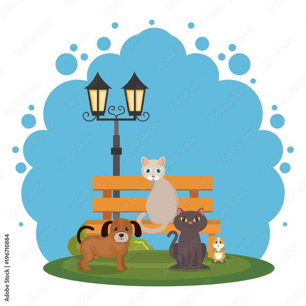 Fototapeta premium cute mascots pet shop icons
