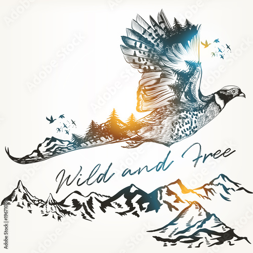 Illustration with wild forest bird and mountains, art background