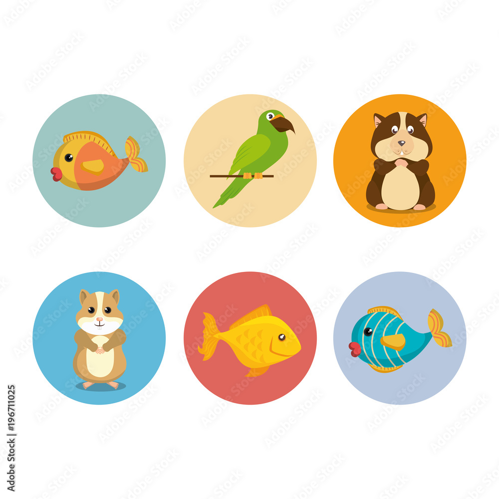 Naklejka premium cute mascots pet shop icons