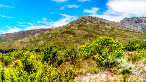 View of the Slanghoekberge Mountains from the scenic Bainskloof Pass between the towns Ceres and Wellington in the Western Cape province in South Africa