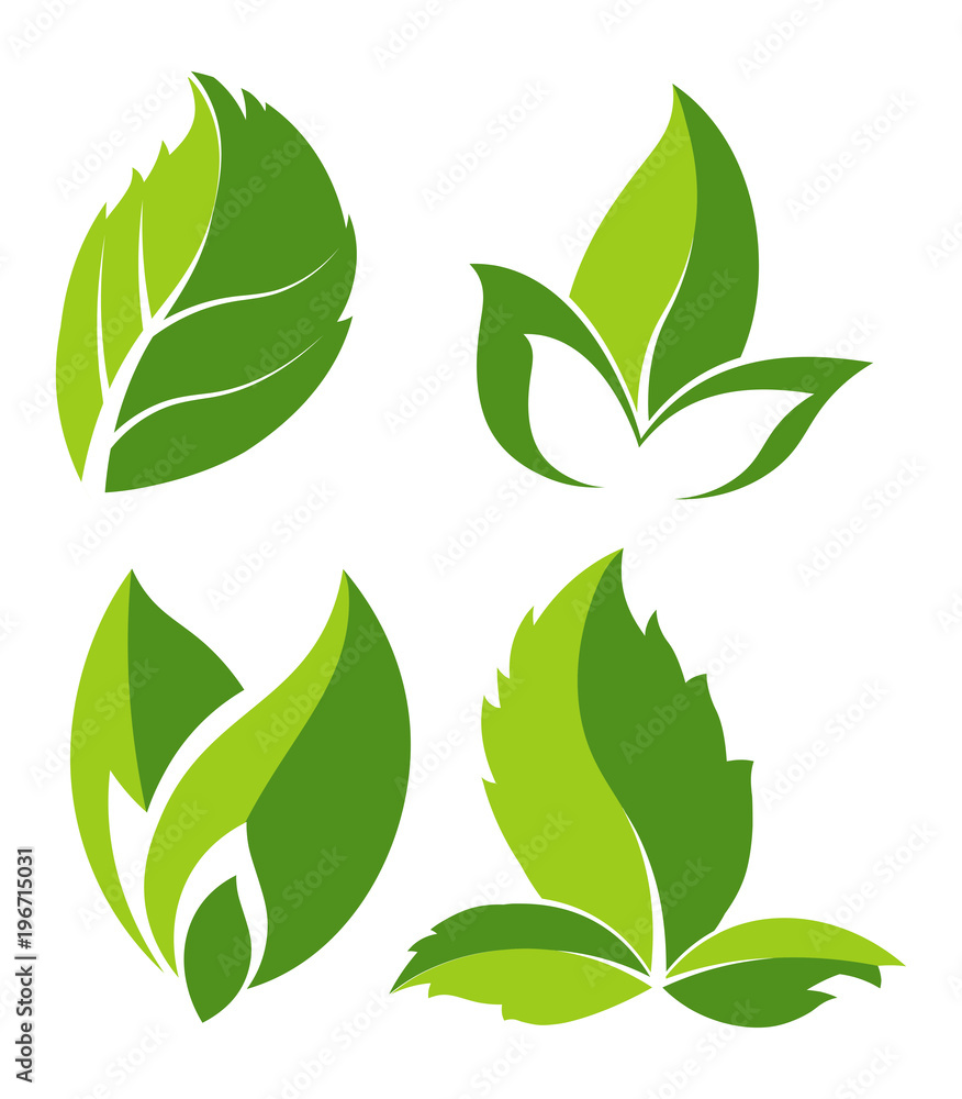Green natural leaves as logo for eco company Green natural leaves as logo for eco company