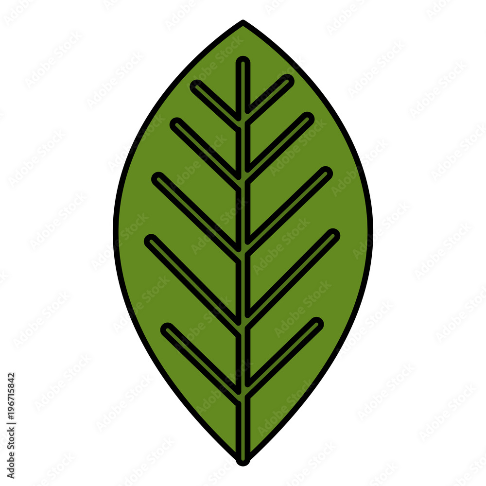 leafs plant ecology icon