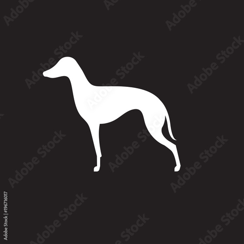 Silhouette of italian greyhound