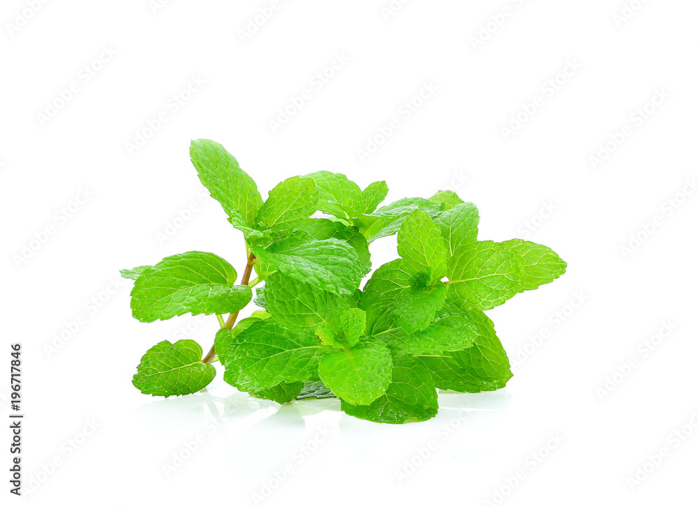 Mint leaves on white background Mint leaves on white background