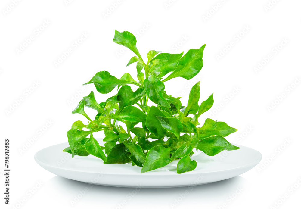 watercress isolated in white plate on white background watercress isolated in white plate on white background