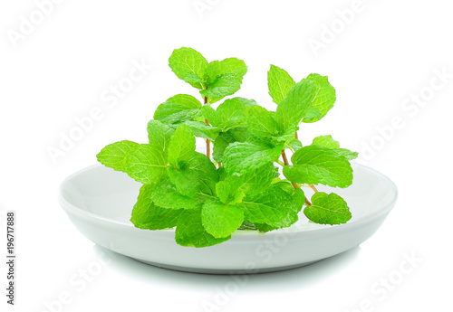 Mint leaves in white plate on white background