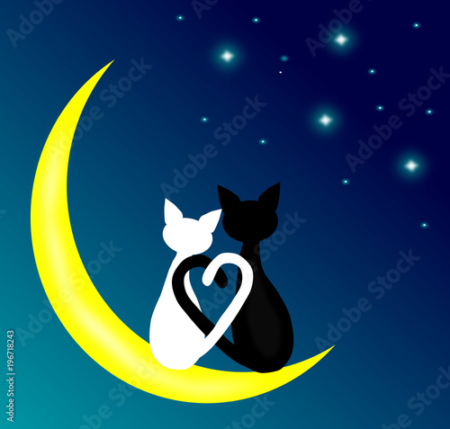 two cats in love sitting on the Crescent Moon at night,lover couple,vector.