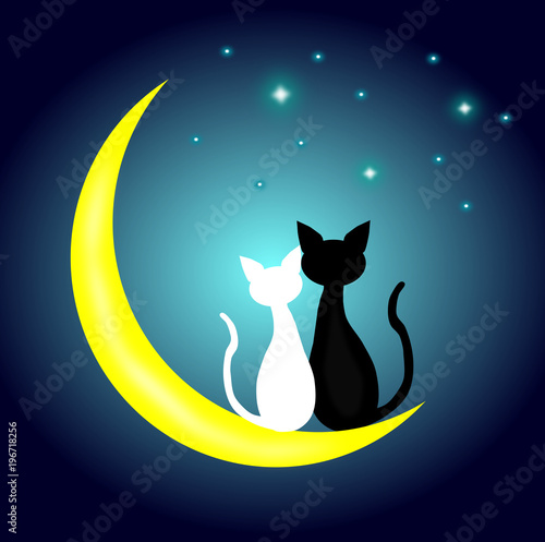 two cats in love sitting on the Crescent Moon at night,lover couple,vector.