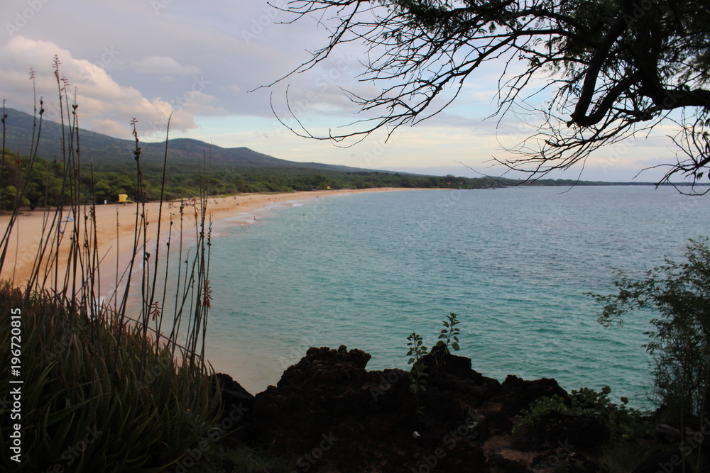 Hawaii Coast