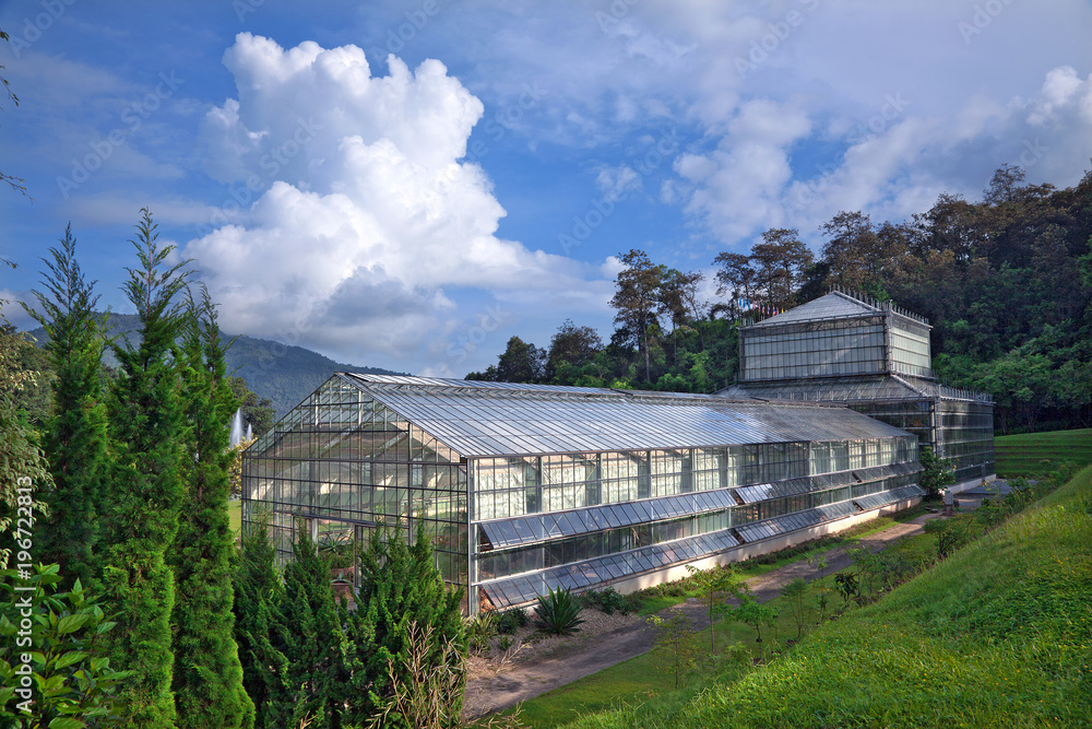 Greenhouses for growing plants, with a backdrop of sky and clouds.