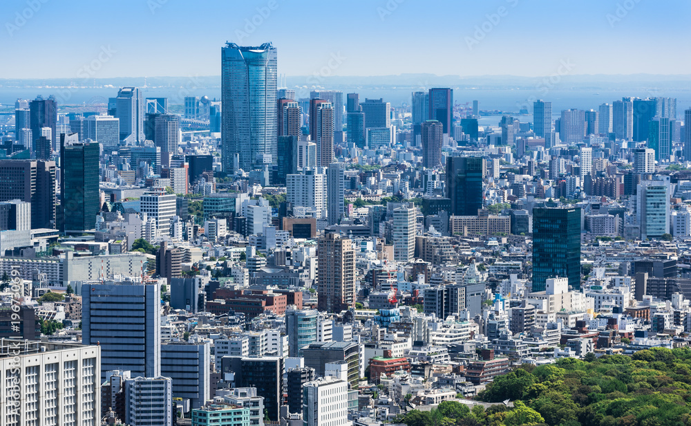 東京都庁から眺める都心部の町並み