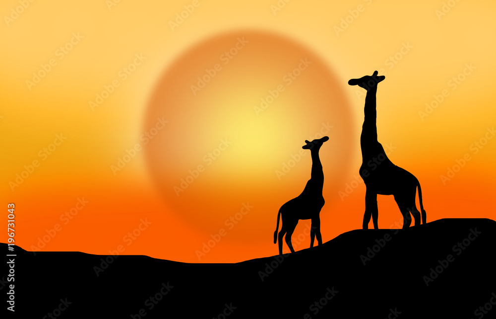 Against the background of the sunset, animals Against the background of the sunset, animals