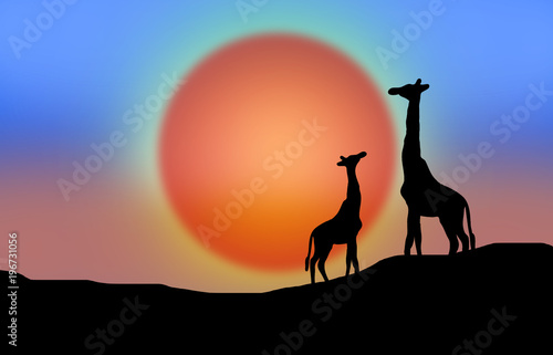 Against the background of the sunset, animals