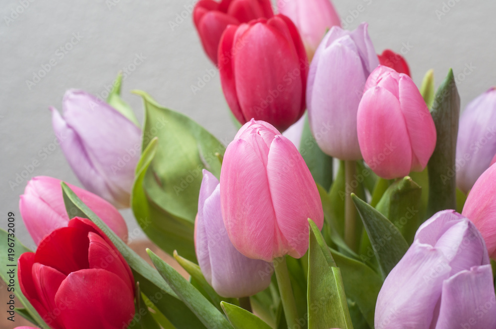 closeup of colorful bouquet of tulips in vase closeup of colorful bouquet of tulips in vase