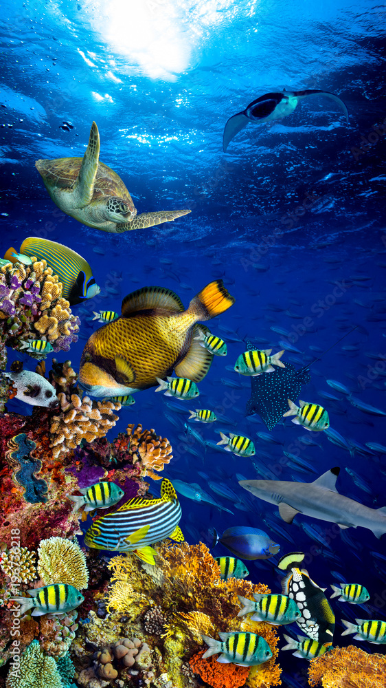 Obraz premium kolorowa szeroka podwodna rafa koralowa 16to9 pionowa tapeta na smartfona z wieloma rybami, żółwiami i życiem morskim / Unterwasser Korallenriff Hintergrund vertikal hochformat 16zu9