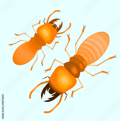 Isolated termite with soft blue back ground,cartoon style,isolated vector illustration.