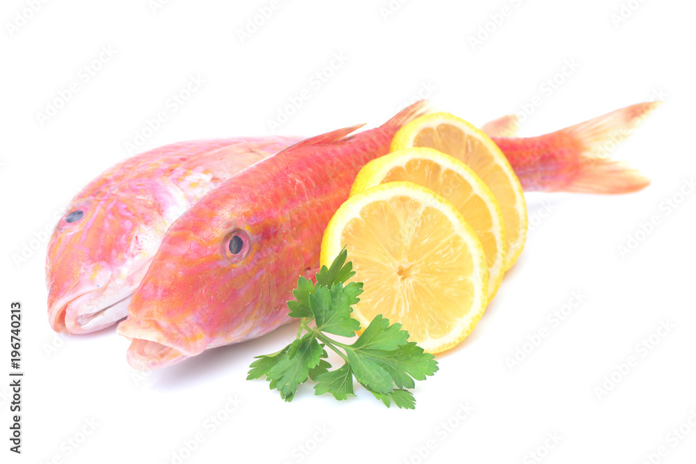 Fish mullet Fish mullet