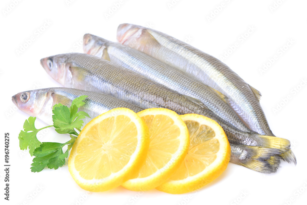 Smelt fish Smelt fish