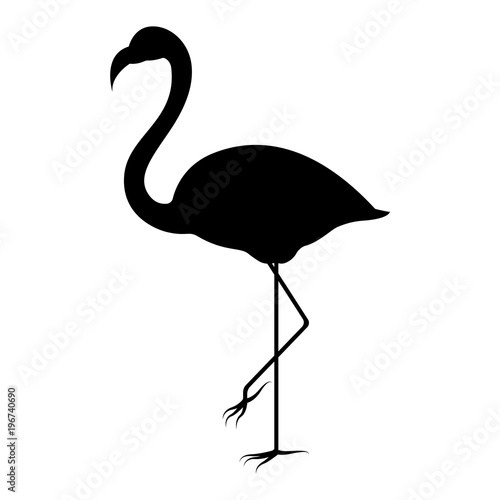 Vector image of a silhouette of a flamingo bird standing on one leg