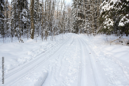 Ski track in the winter forest.