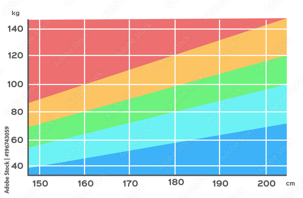 Body Mass Index chart vector . height and weight / fat Stock Vector