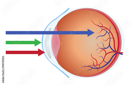 eye and blue light vector