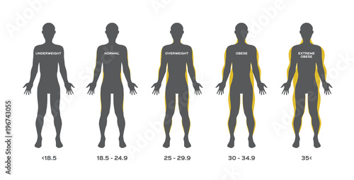 human fat from under weight to obese vector