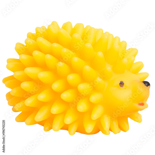 Pet Toy on White Background