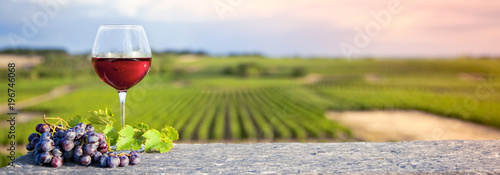 Vignoble et verre de vin rouge en Anjou photo