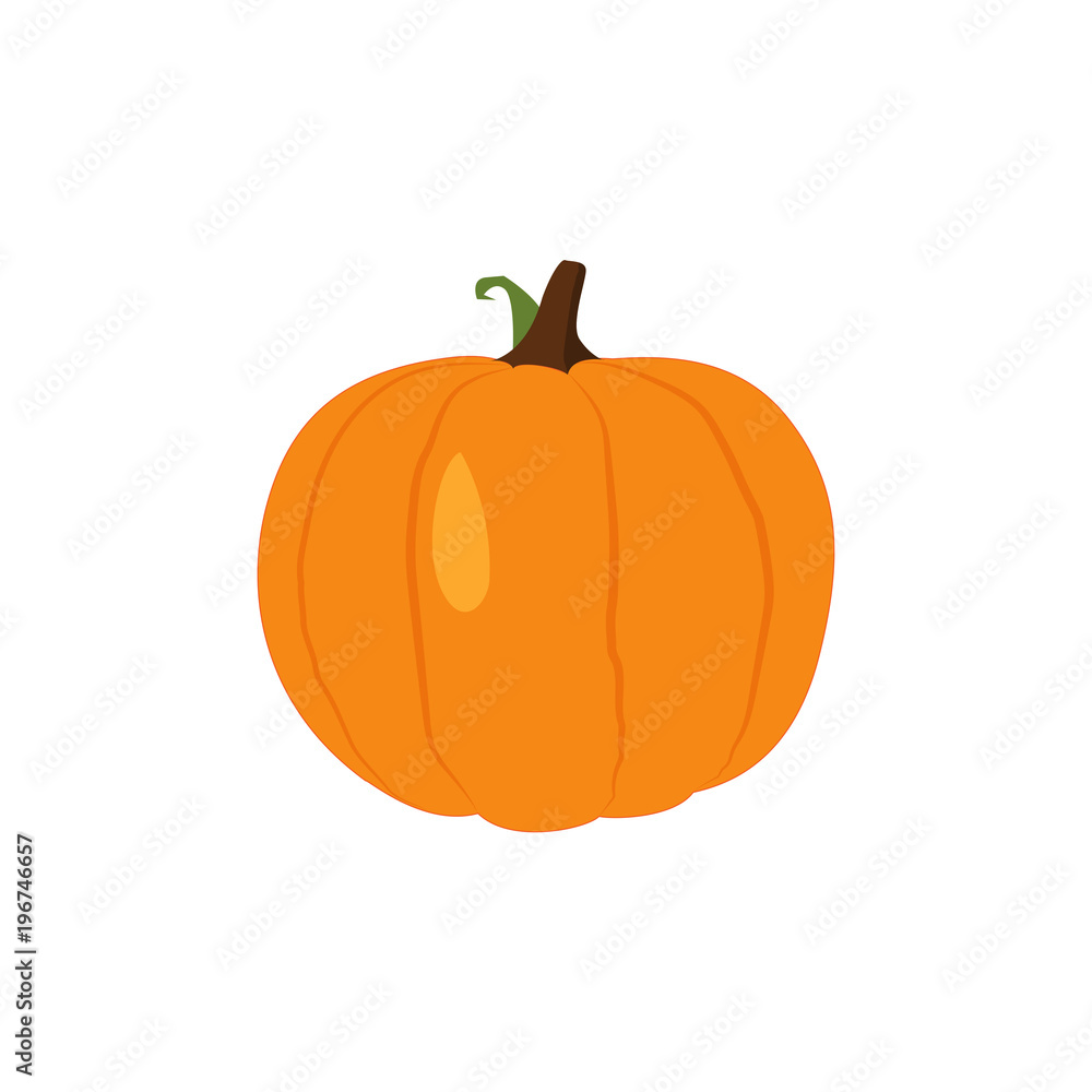 Pumpkin Isolated on White. Flat Design Style. Vector illustration Pumpkin Isolated on White. Flat Design Style. Vector illustration