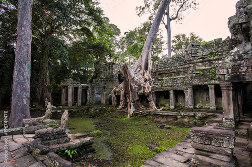 Angkor Wat - one of the temples in the khmer complex with trees and roots over the temple walls  in Siem Reap  Cambodia