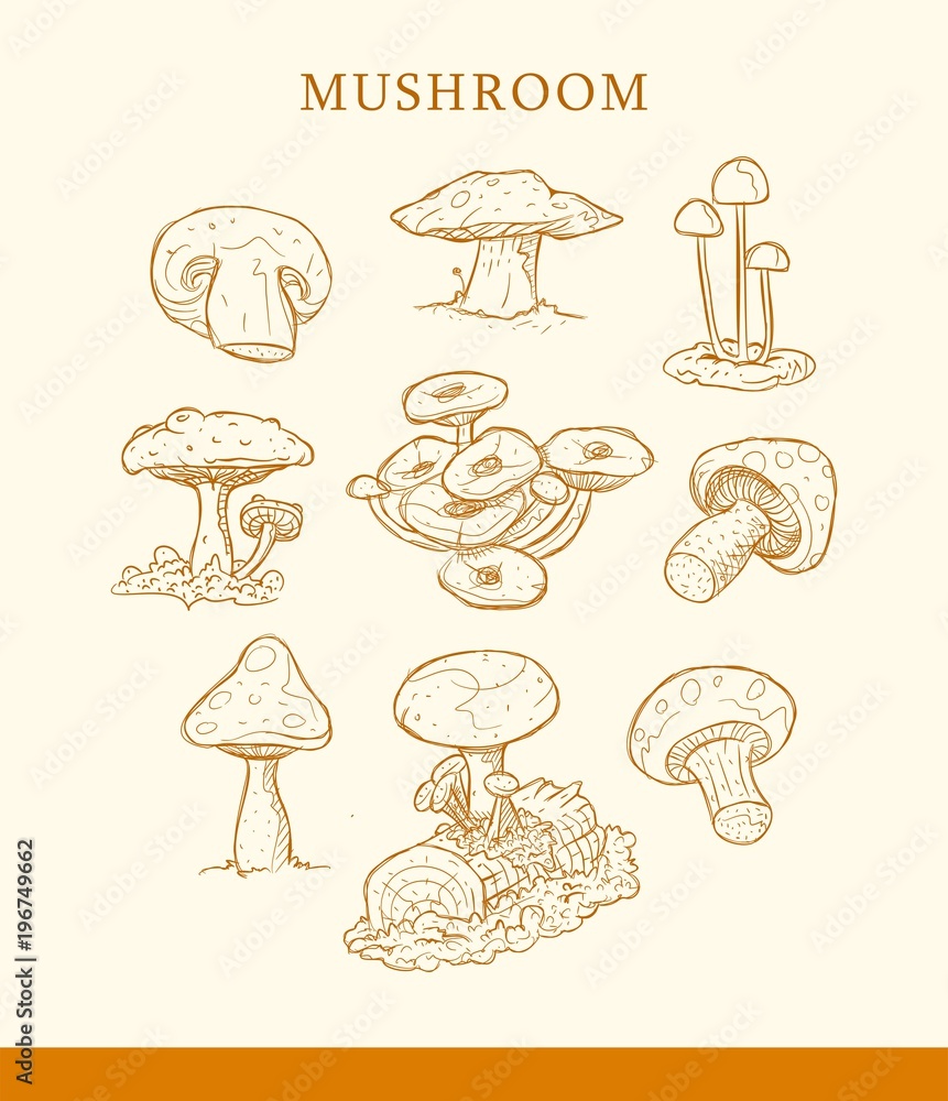 hand drawn style mushroom vector hand drawn style mushroom vector