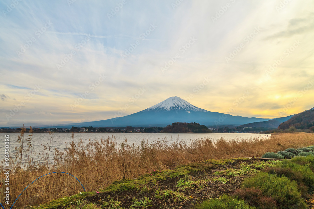 Fototapeta premium Fuji Mountain at Lake Kawaguchiko, Japan, Sunset scene