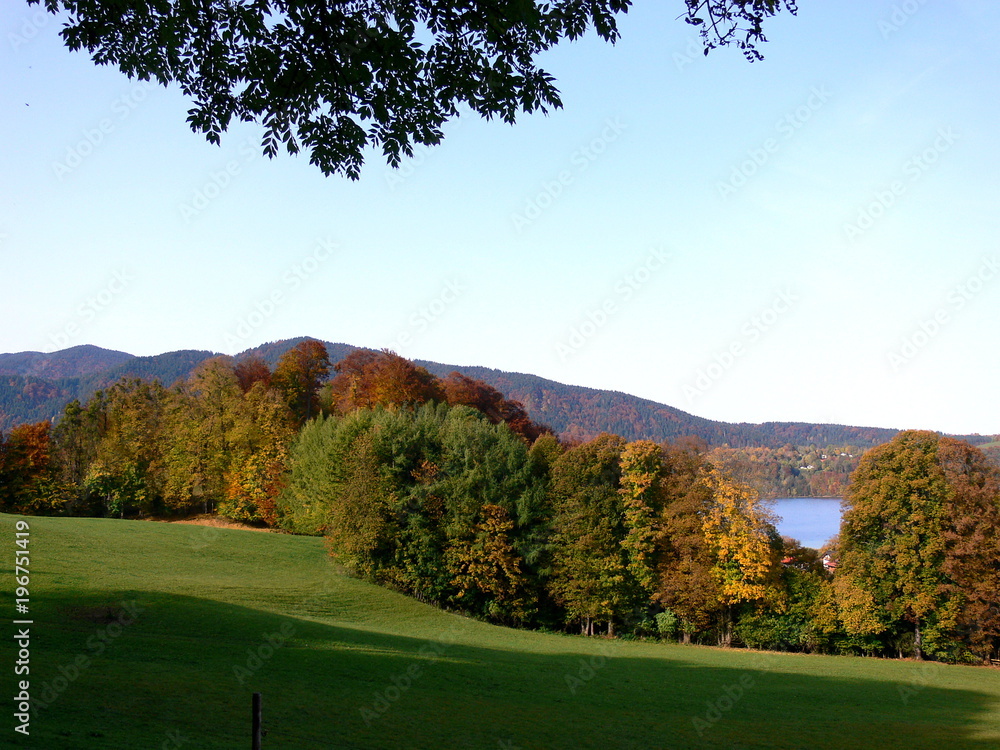 Landschaft mit herbstlichen Bäumen am See